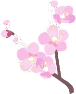 5-sakura.gif