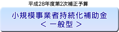 小規模事業者持続化補助金＜一般型＞